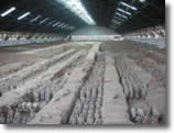China Optional City Private Tours